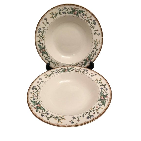 Farberware Wellesley Fine China - Pair Large Rimmed Soup Bowls - 9.25" - #486 - Picture 1 of 7
